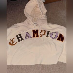 Trendy & Cozy Champion Cropped Hoodie